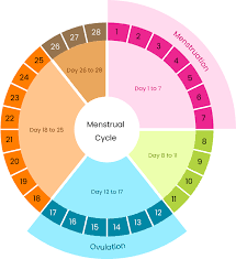 period calculator